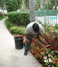 a tech checks the function of a drip irrigation line