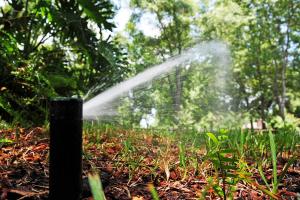 a pop up head can water a large area of grass