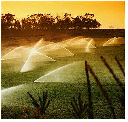 Sprinklers running full blast in Edmonds, Washington