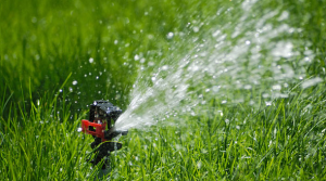 our Lynnwood Sprinkler Repair team installs rotary sprinklers like this one